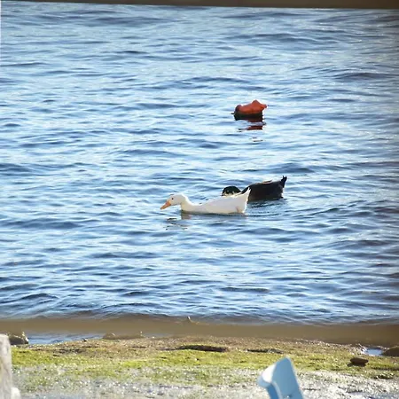 Сasa de vacaciones Captain's Boathouse, *