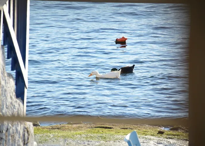 Casa de Férias Captain's Boathouse, *